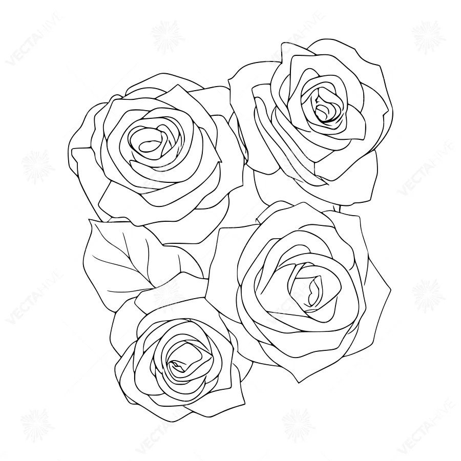 Black Rose Illustration - Line Art Floral Design
