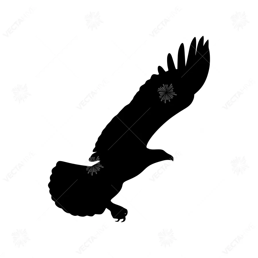 Black Eagle Silhouette Flying