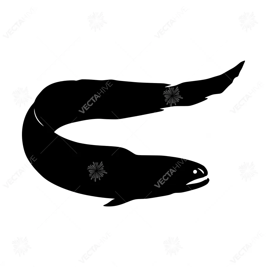Black Eel Silhouette Vector Illustration