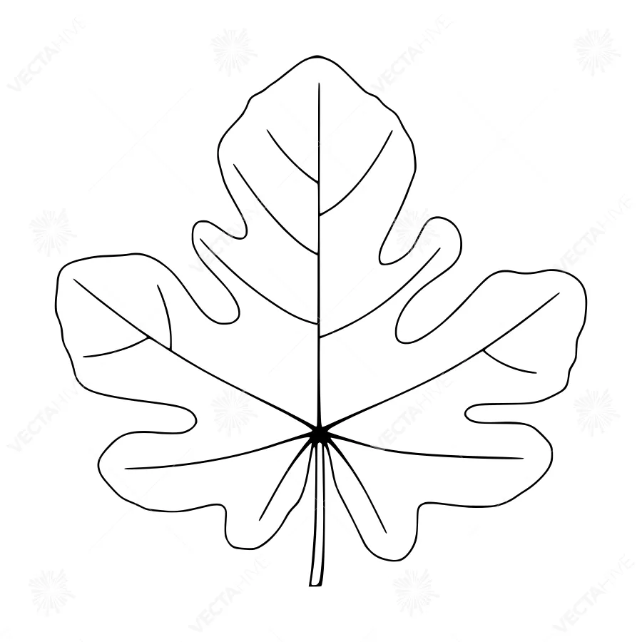 Line Art Maple Leaf - Minimalist Design