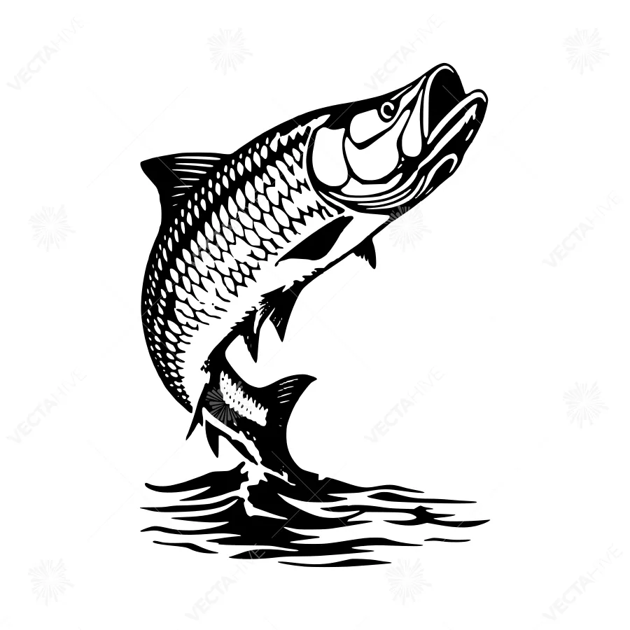 Black & White Salmon Jumping - Vector Illustration