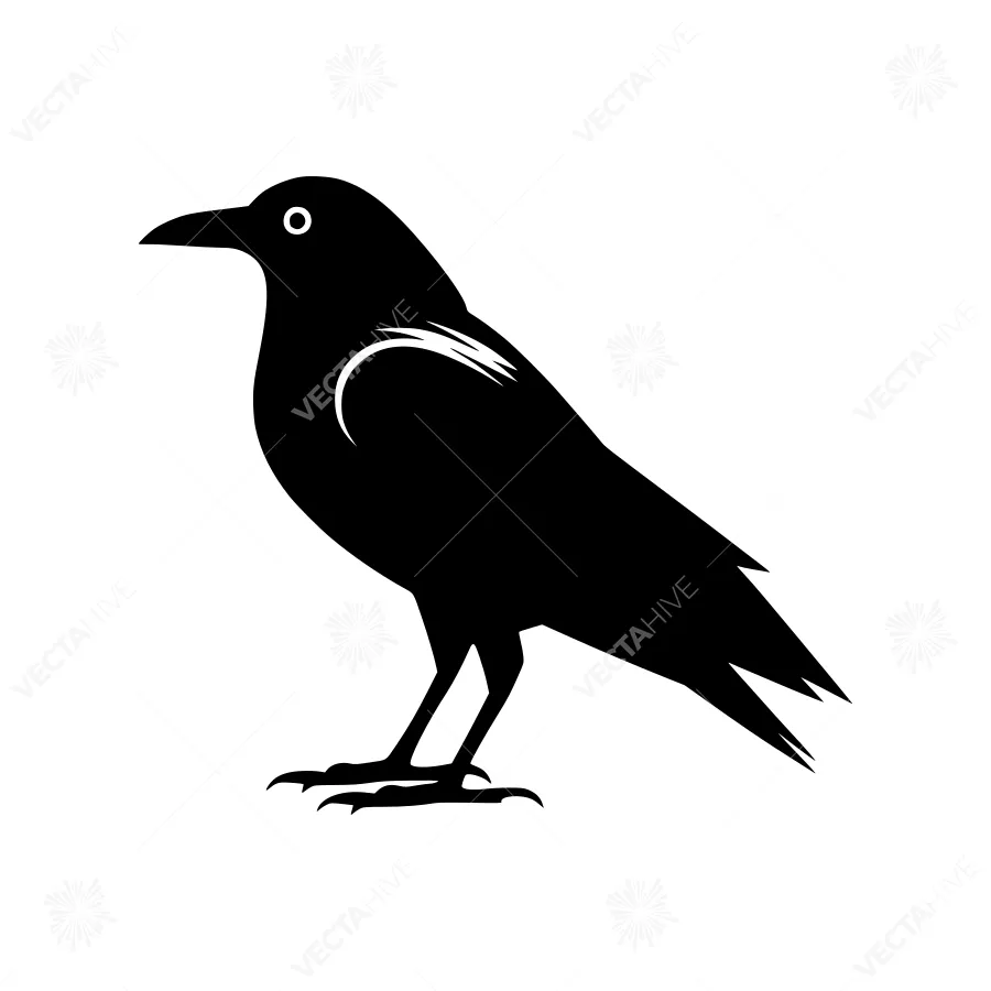Black Crow Silhouette Vector Illustration