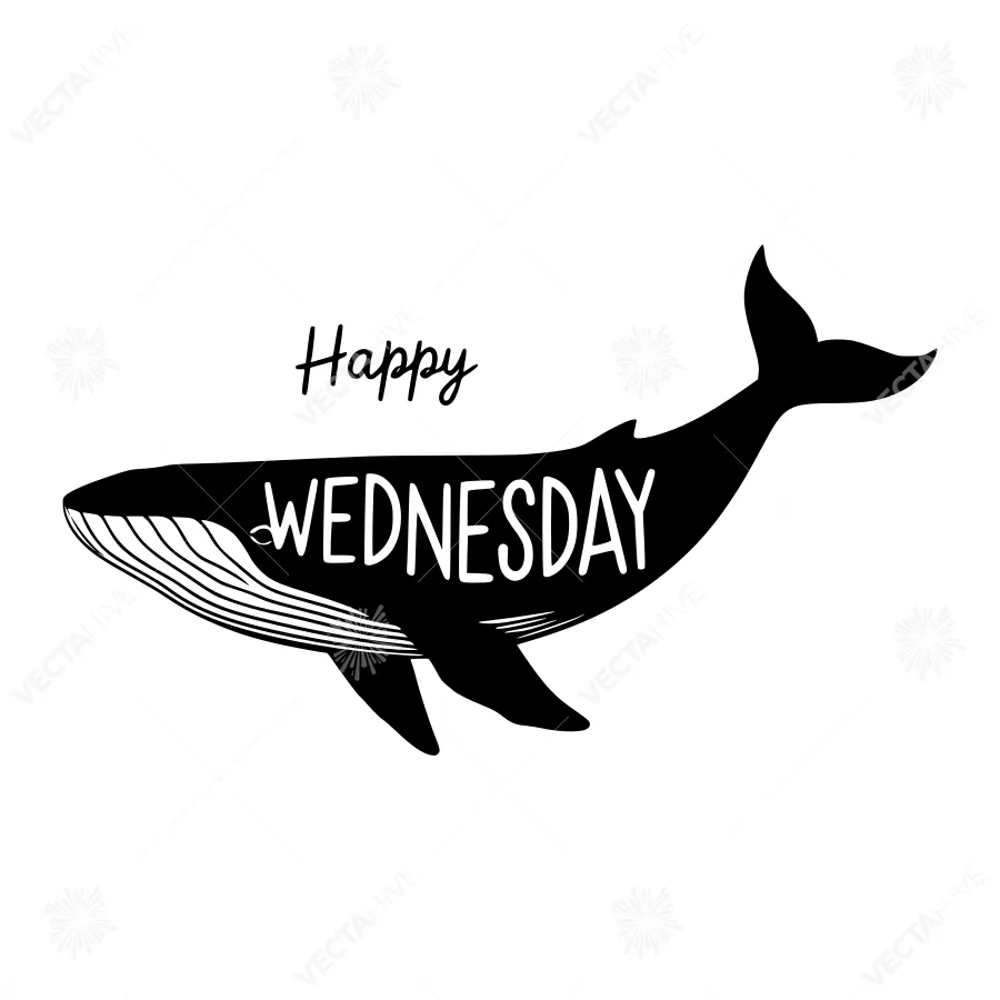 Happy Wednesday Whale Illustration