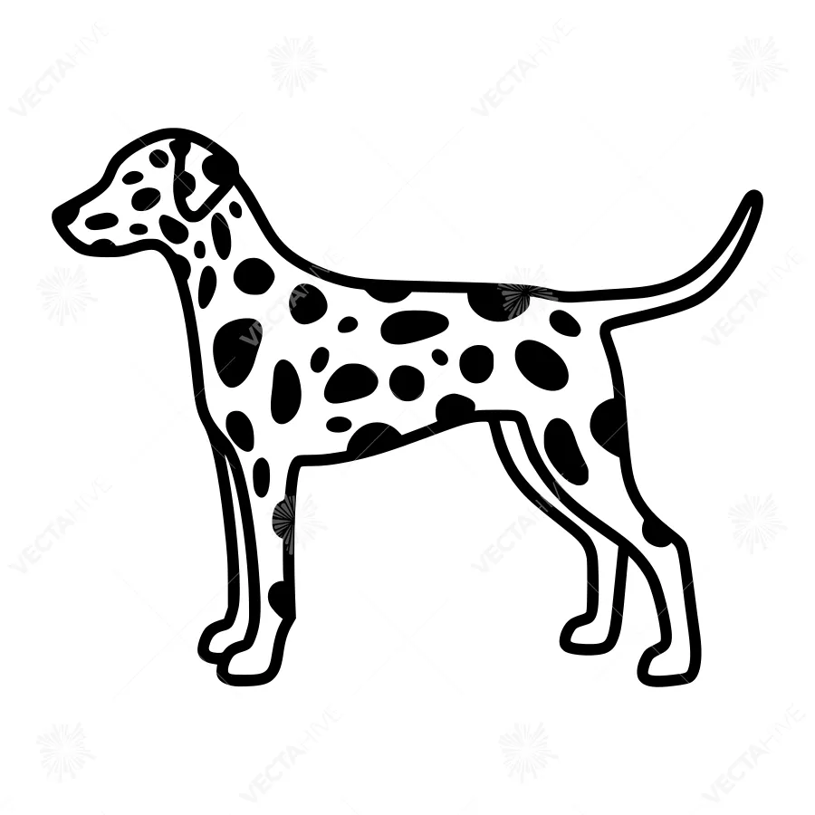 Dalmatian Dog Silhouette Black & White