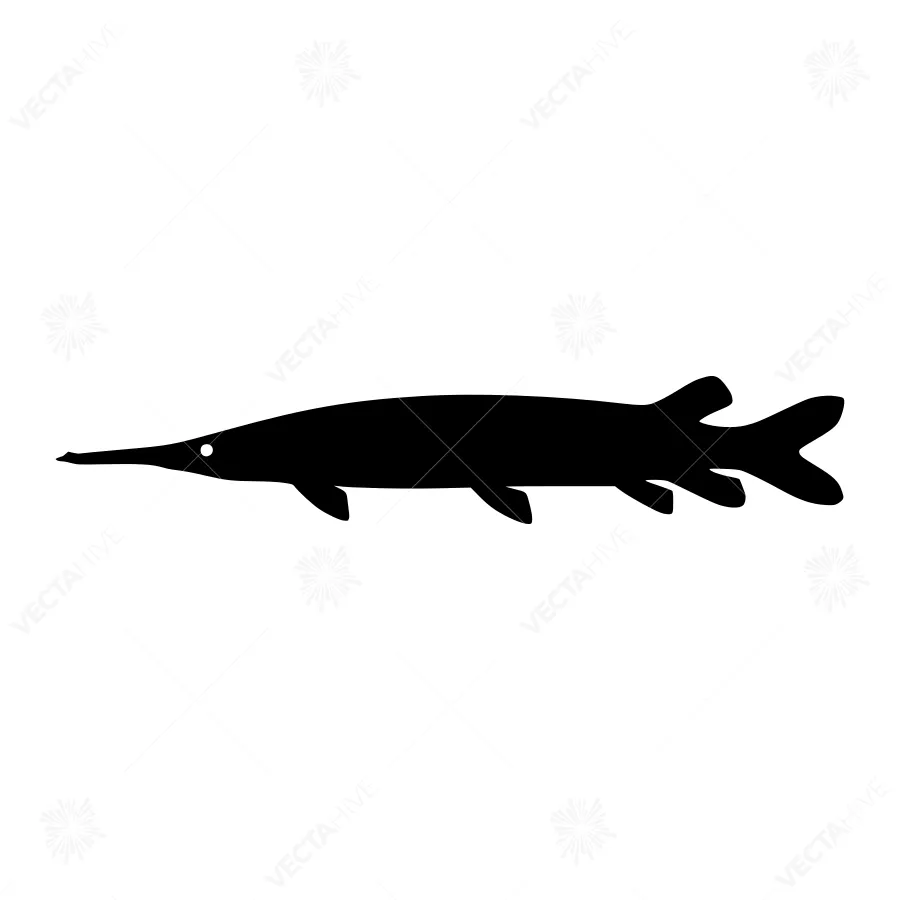 Black Pike Fish Silhouette Vector Graphic