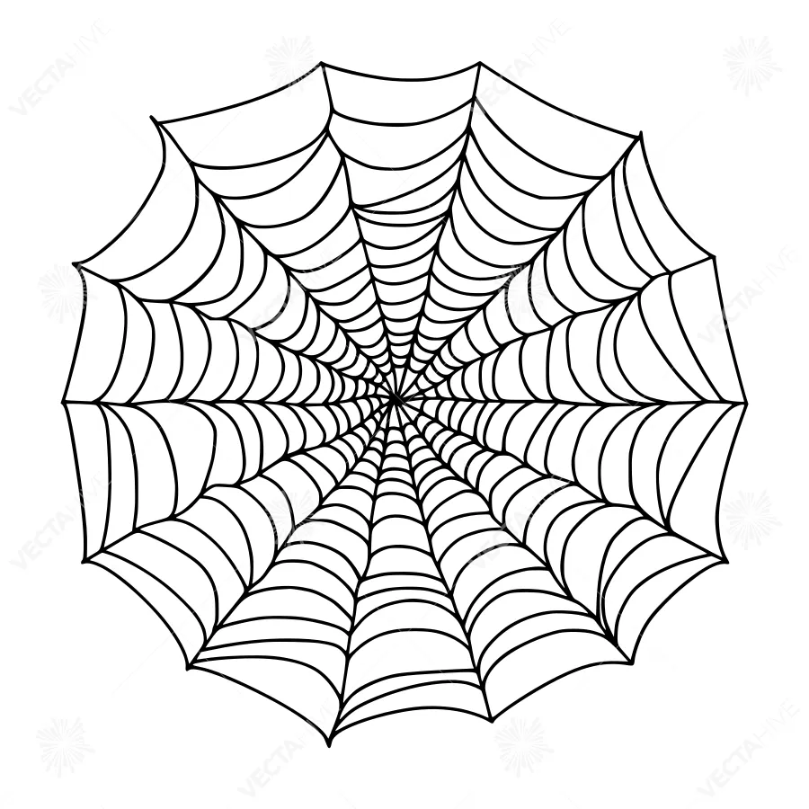 Black & White Spider Web Vector Graphic