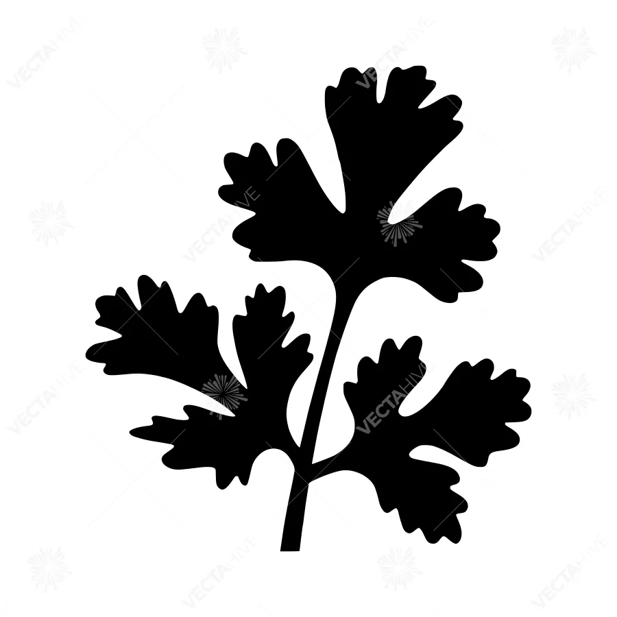 Black Parsley Leaf Silhouette Vector