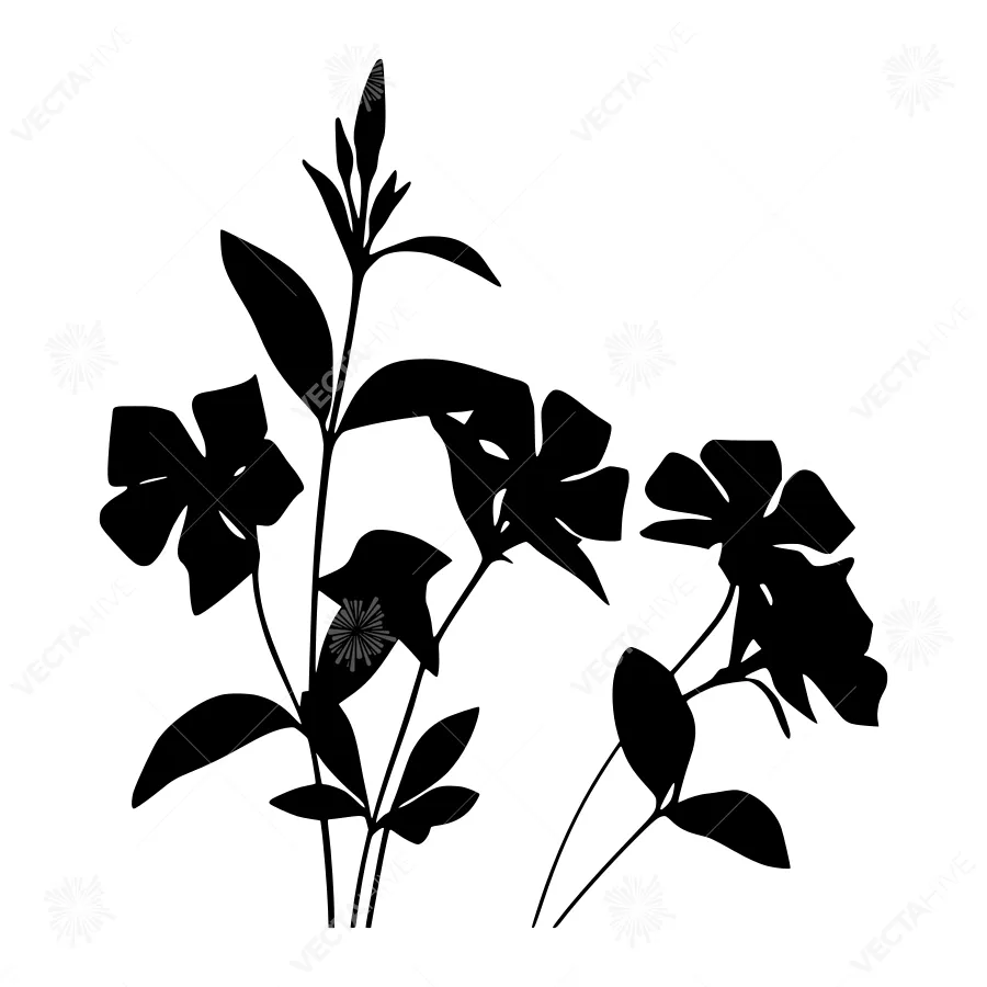Black Floral Silhouette Vector Illustration