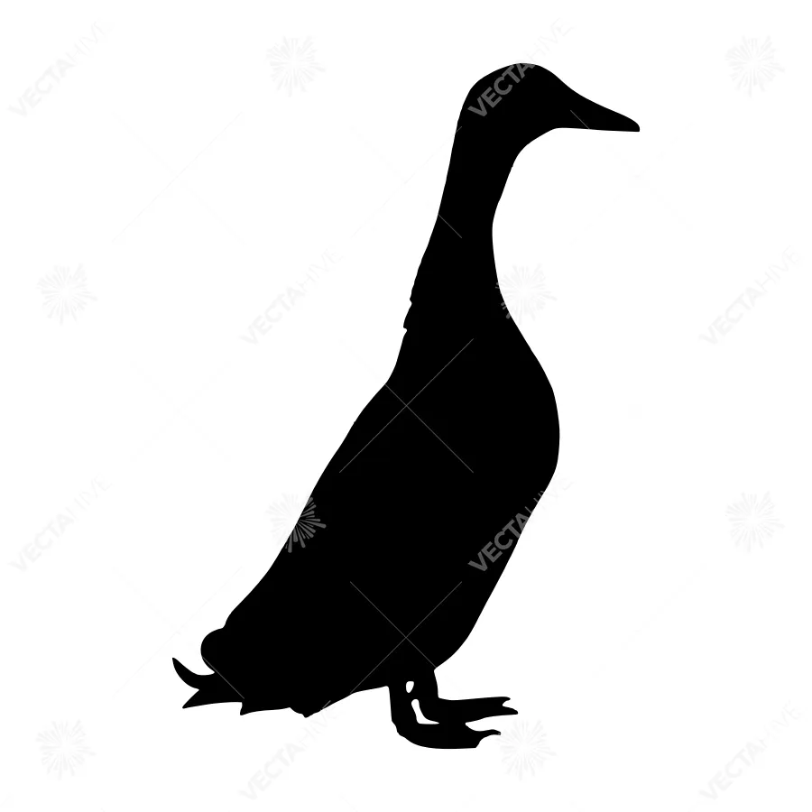 Black Duck Silhouette Vector Graphic