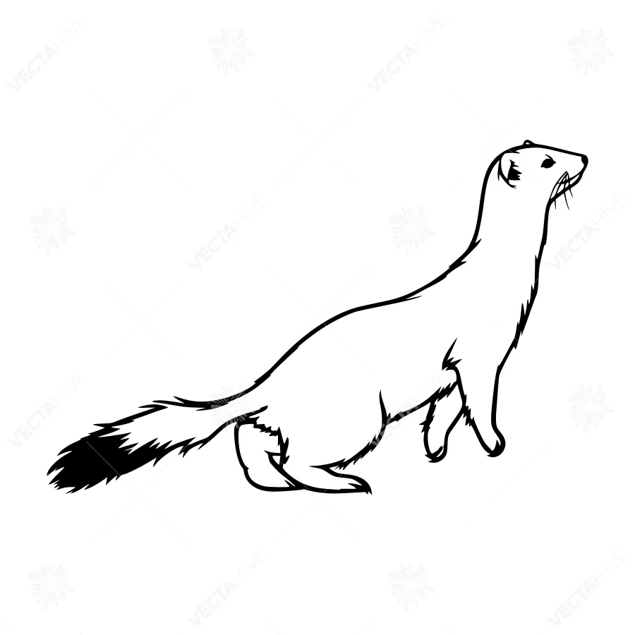 Line Art Ferret Silhouette