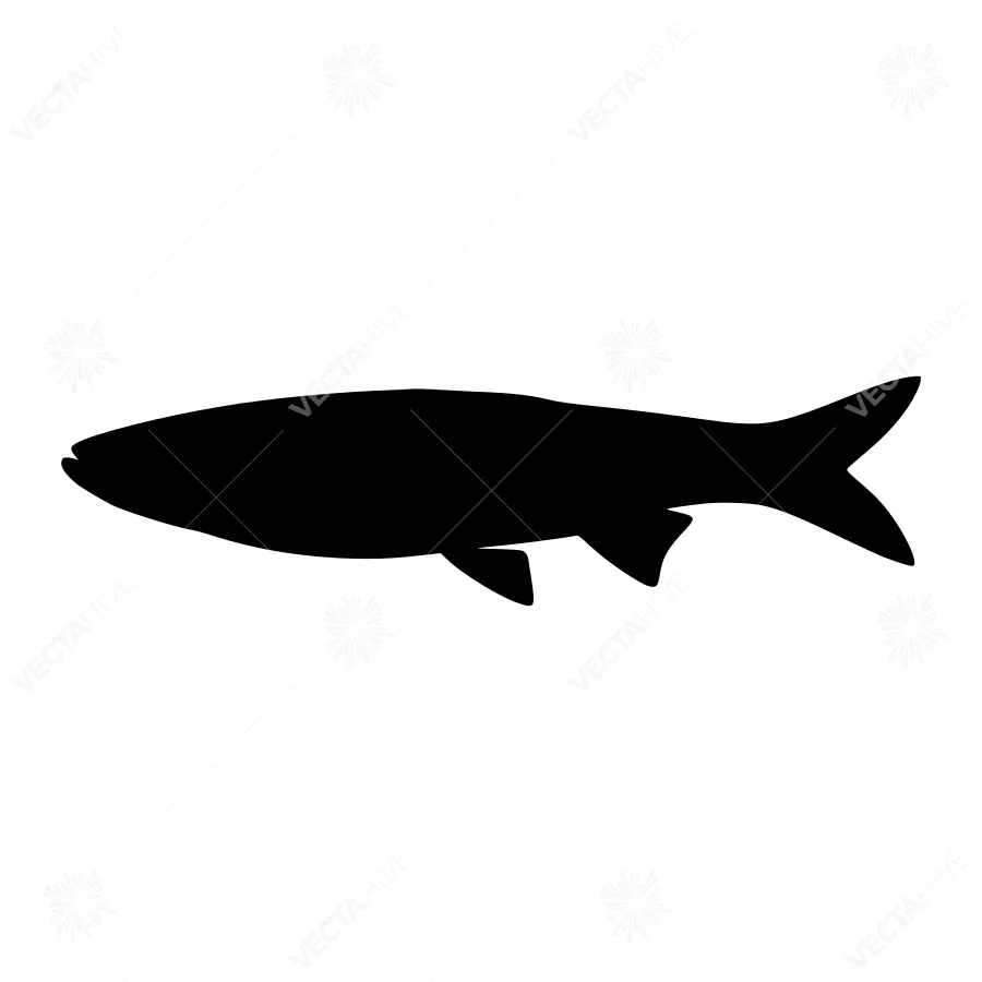 Black Fish Silhouette Vector Icon