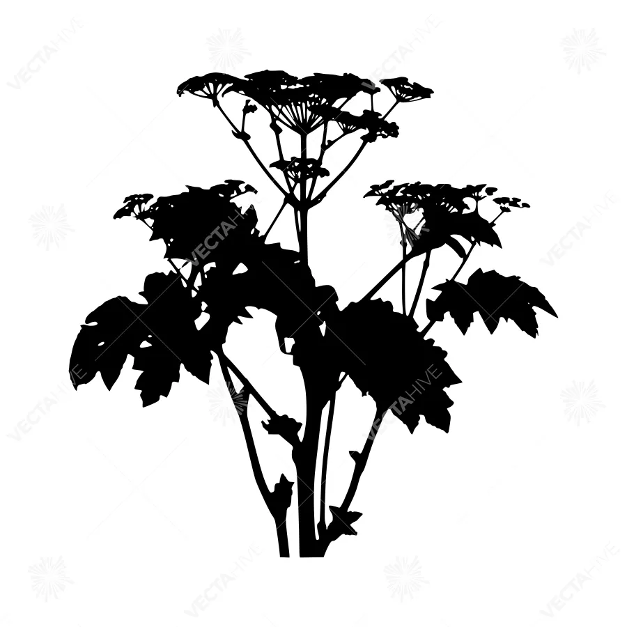Black Plant Silhouette on White Background