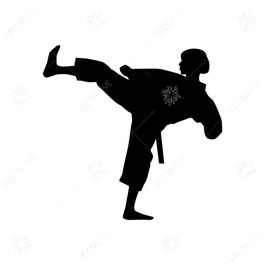 Black Silhouette Karate Kick