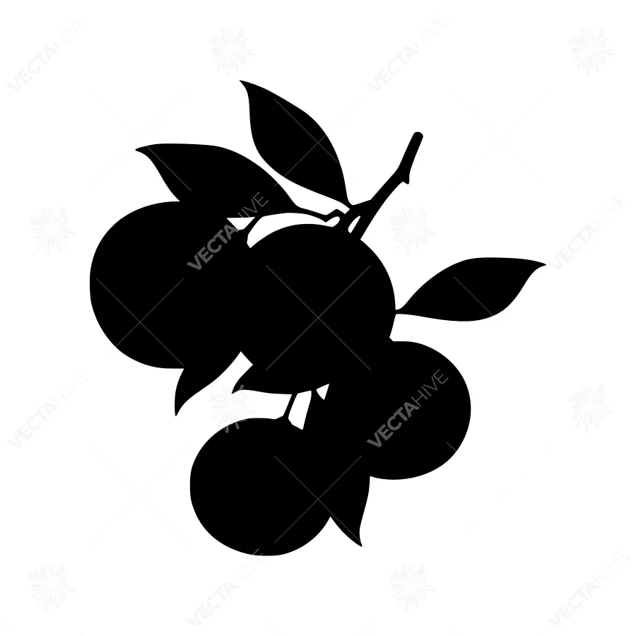 Black Citrus Silhouette on White Background