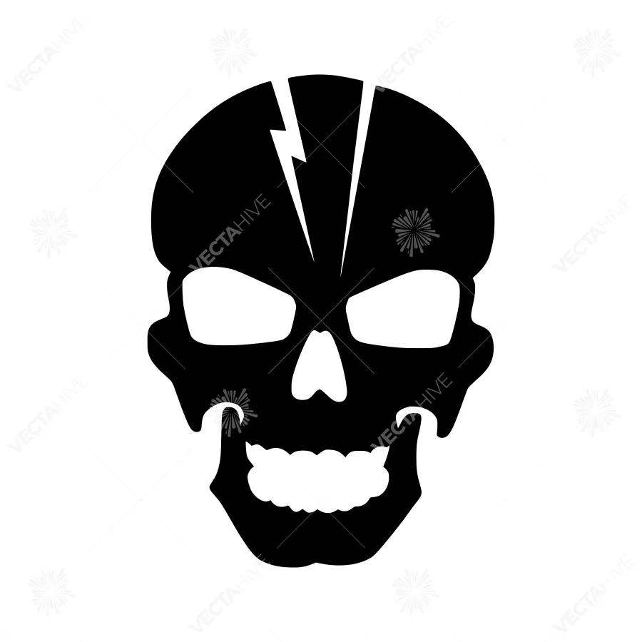 Black Skull Graphic - Cracked Design
