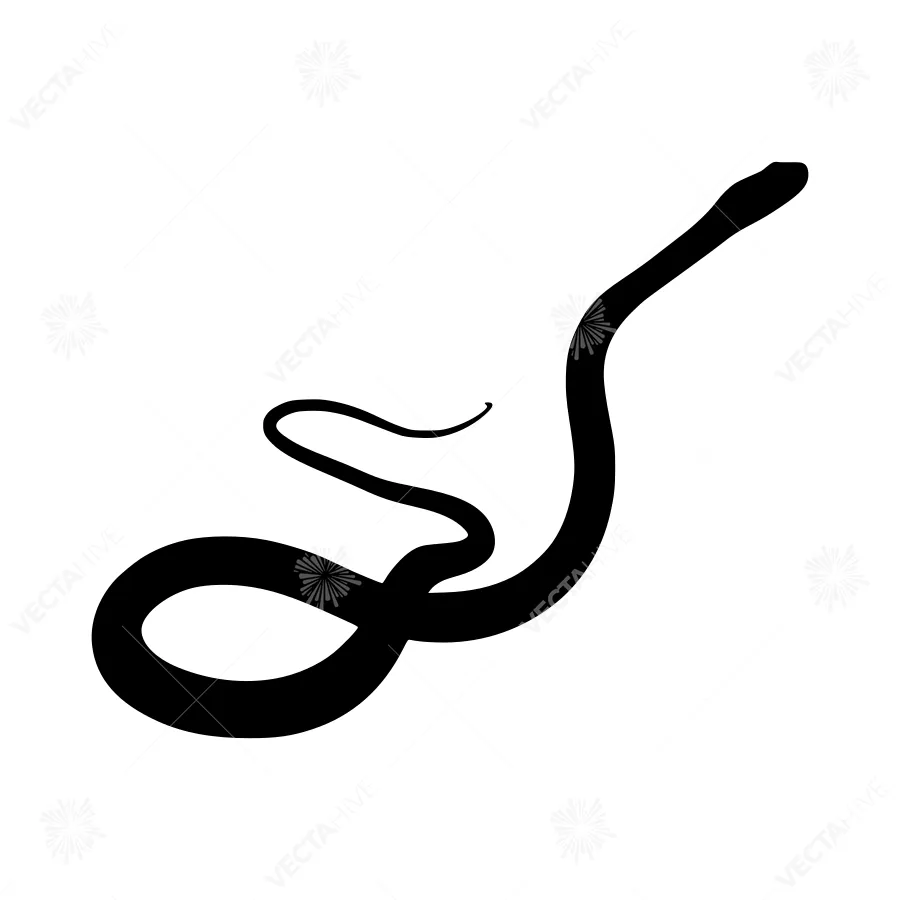 Abstract Snake Silhouette Vector Graphic
