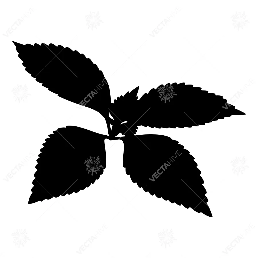 Black Leaf Silhouette on White Background