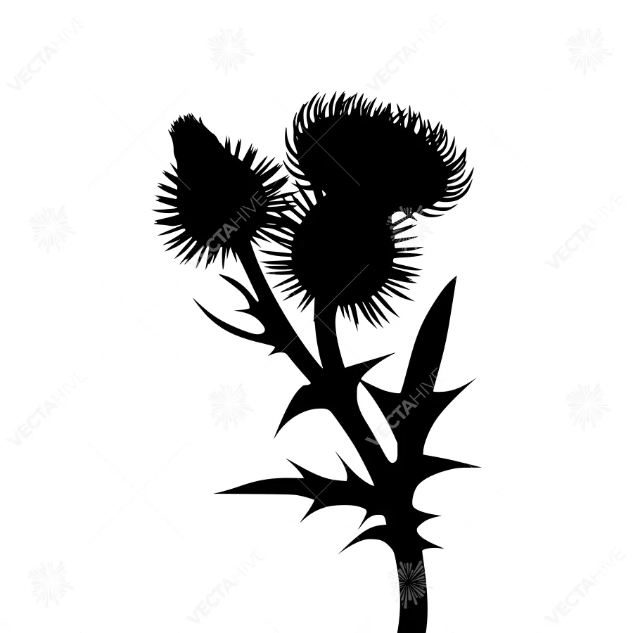 Black Thistle Silhouette on White Background