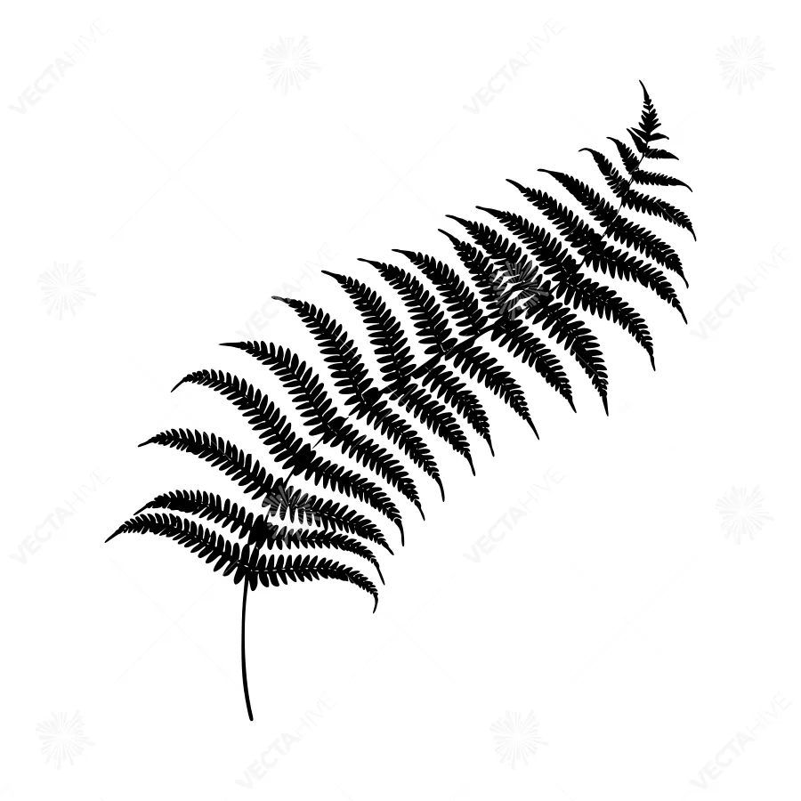 Black Fern Leaf Silhouette Vector Illustration