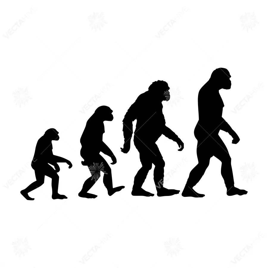Evolution Silhouettes - Human Ancestry Graphic