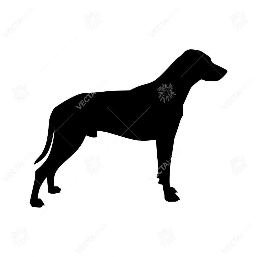Great Dane Silhouette Vector Illustration