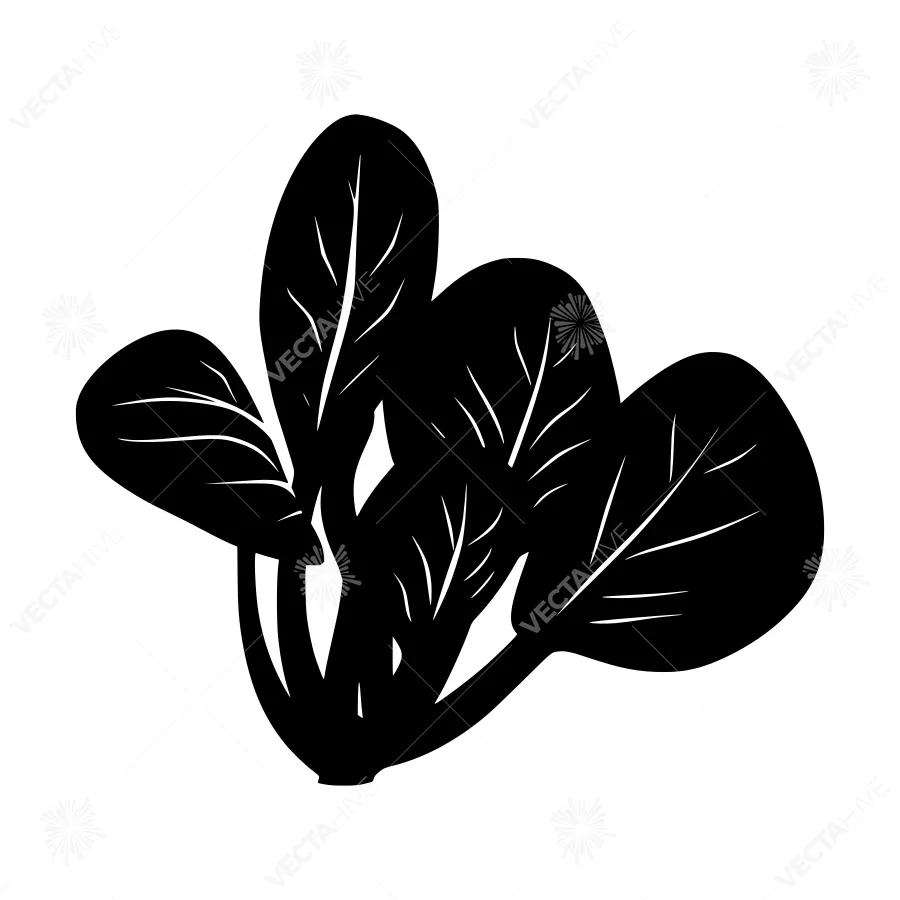 Black Leafy Vegetable Silhouette