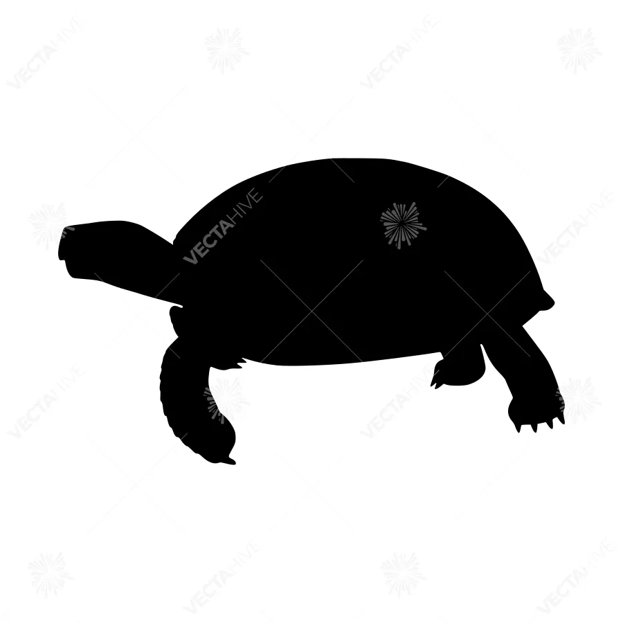 Black Turtle Silhouette Vector Graphic