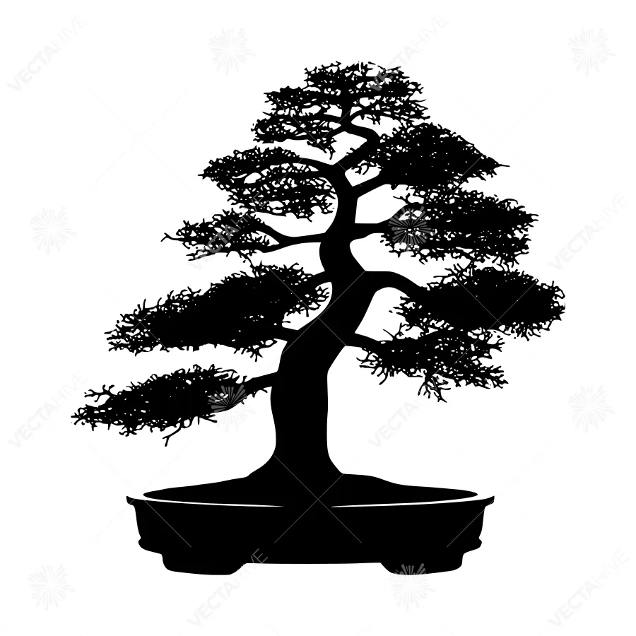 Black Silhouette Bonsai Tree