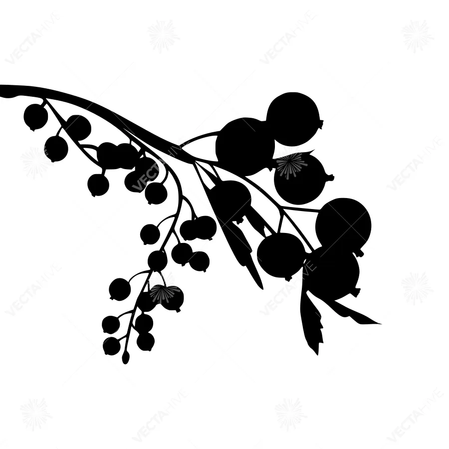 Black Berry Branch Silhouette