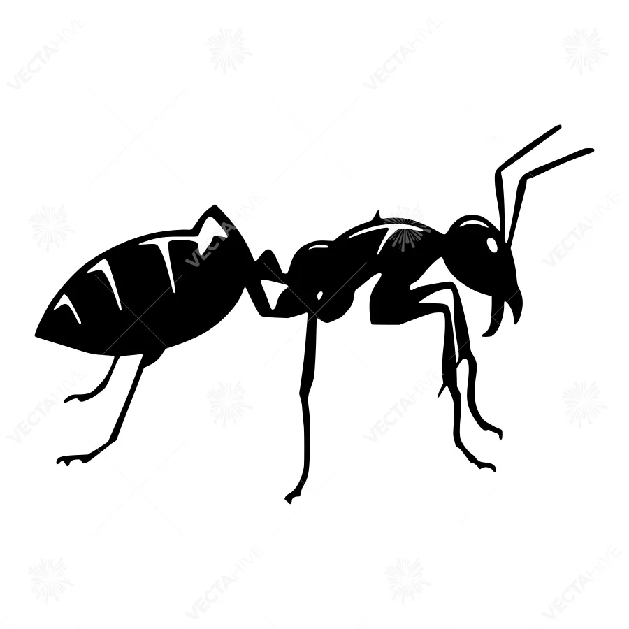 Black Ant Silhouette Vector Illustration