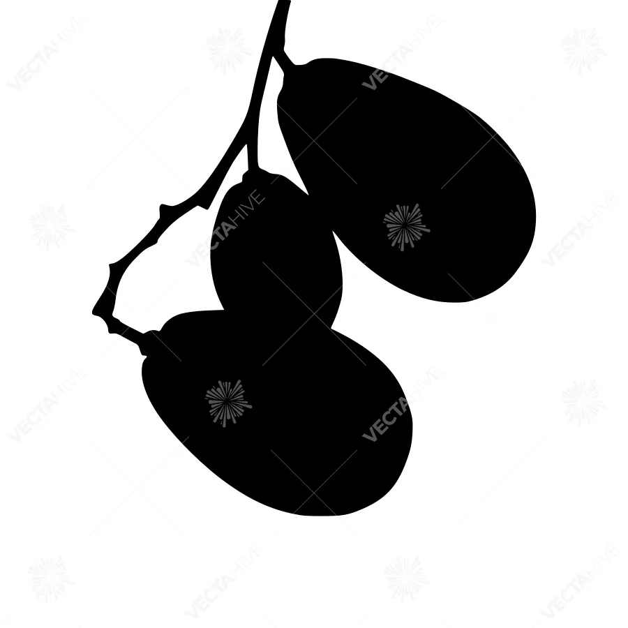 Black Olive Branch Silhouette