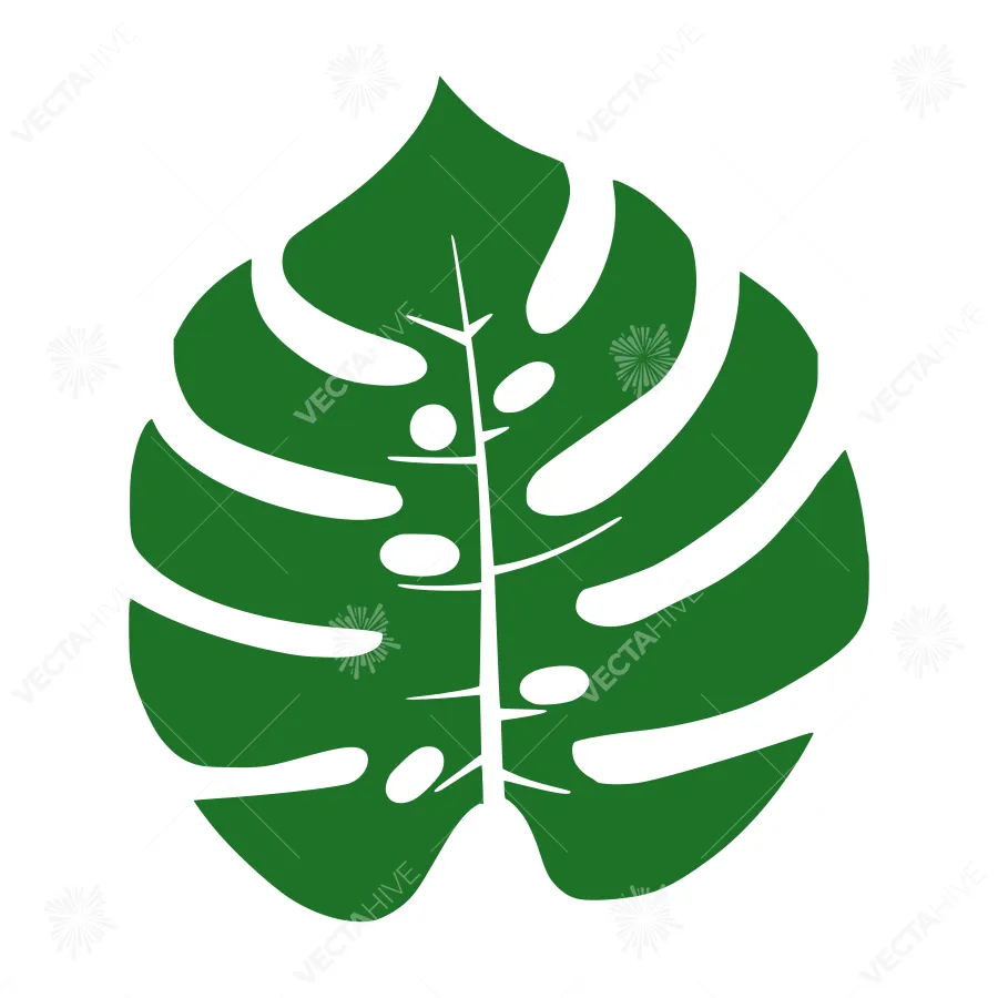 Green Monstera Leaf Vector Illustration
