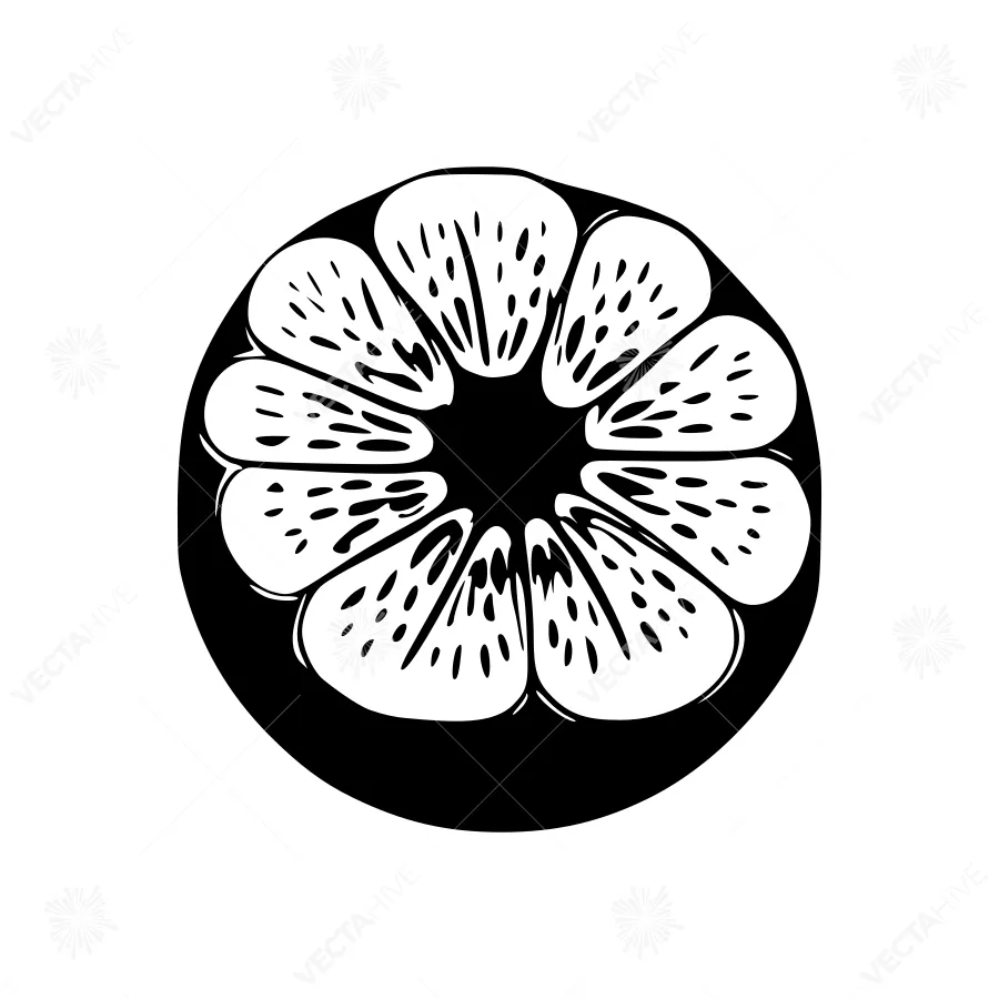 Kiwi Slice Silhouette - Minimalist Fruit Graphic