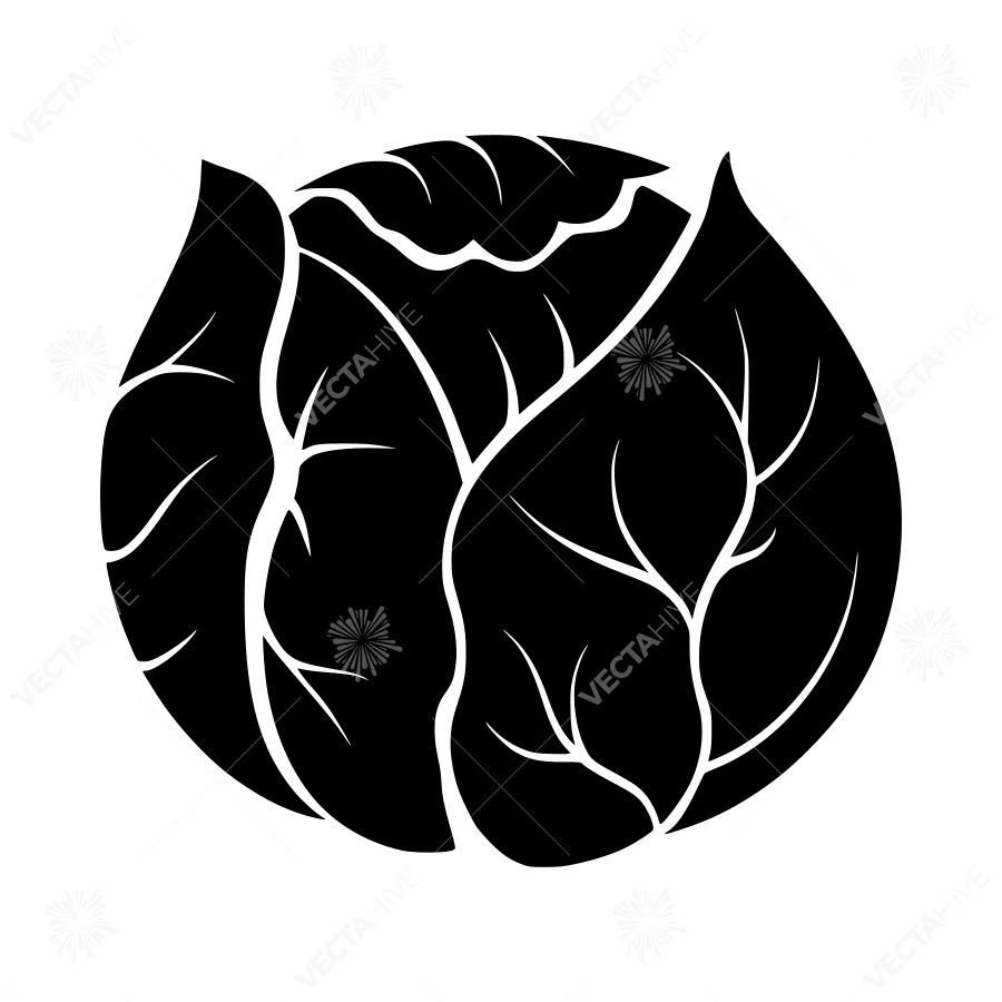 Black Cabbage Silhouette Vector Icon