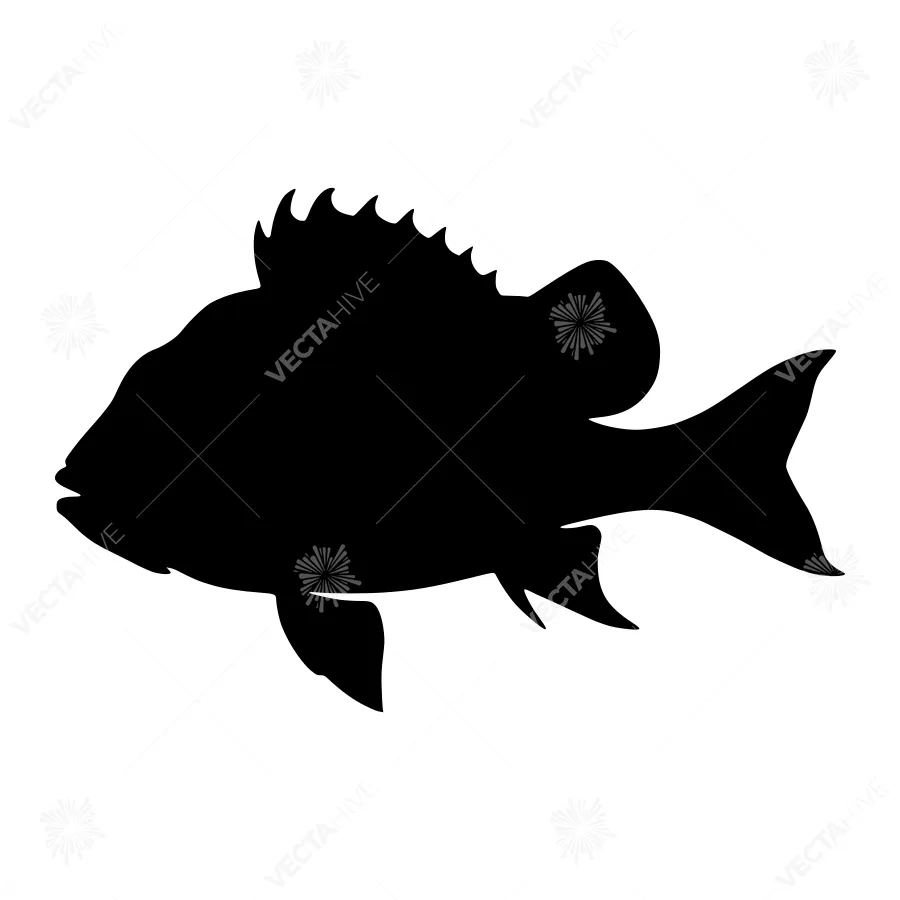 Black Fish Silhouette Vector Illustration