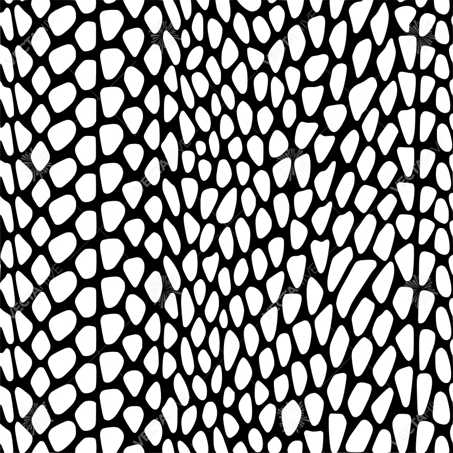 Abstract Geometric Pattern - Black & White