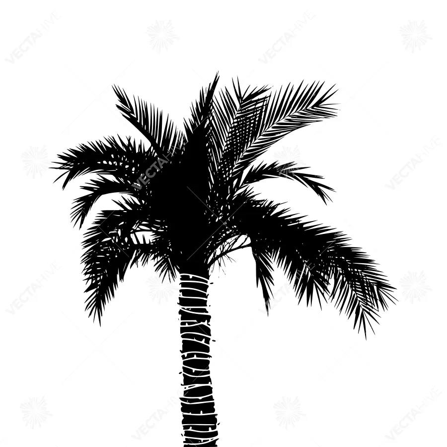 Palm Tree Silhouette Black and White