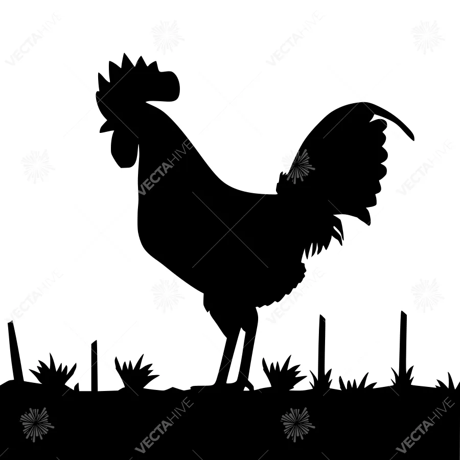 Black Rooster Silhouette - Farm Animal Graphic