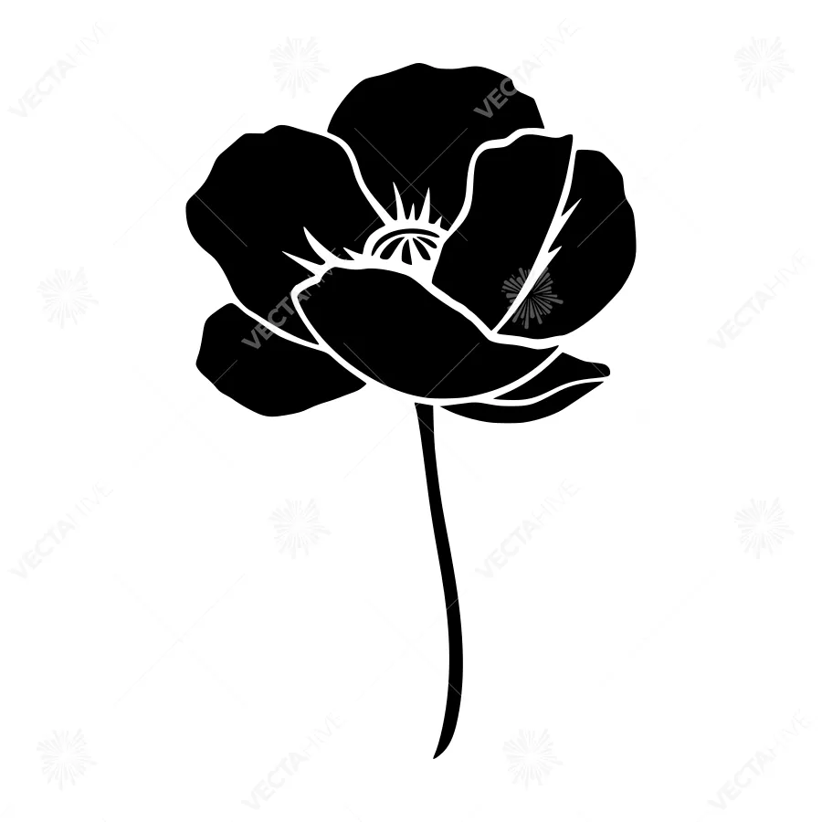 Black Poppy Silhouette on White Background