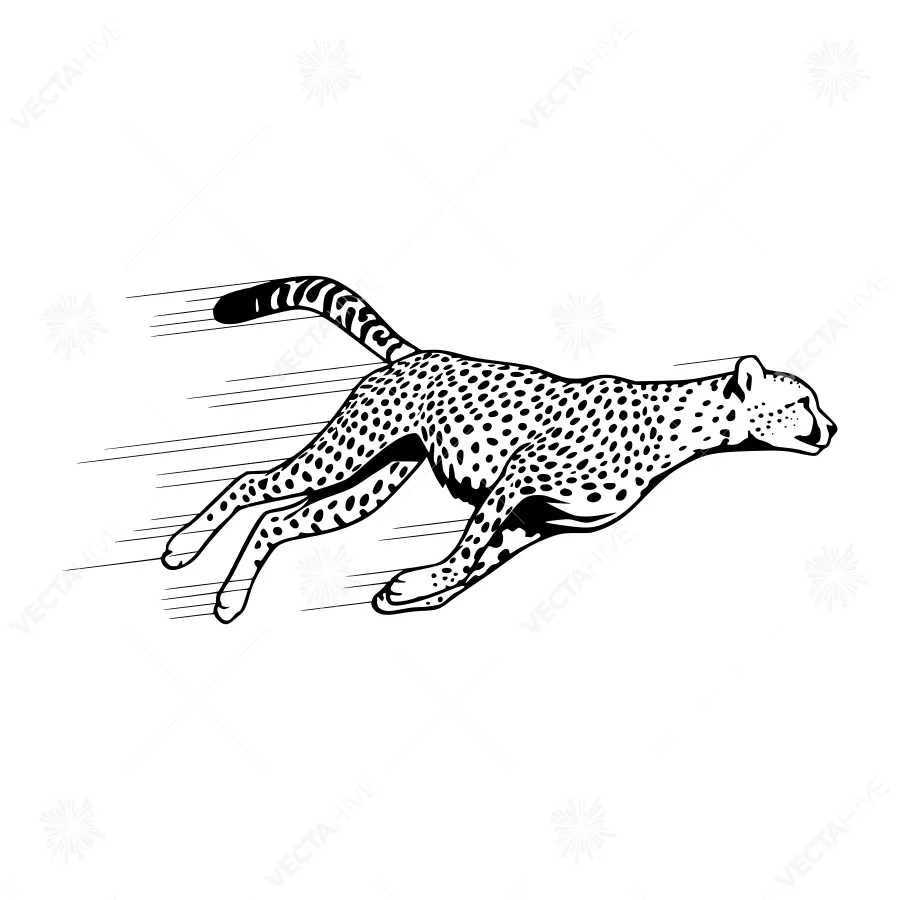 Black & White Cheetah Running Vector Illustration
