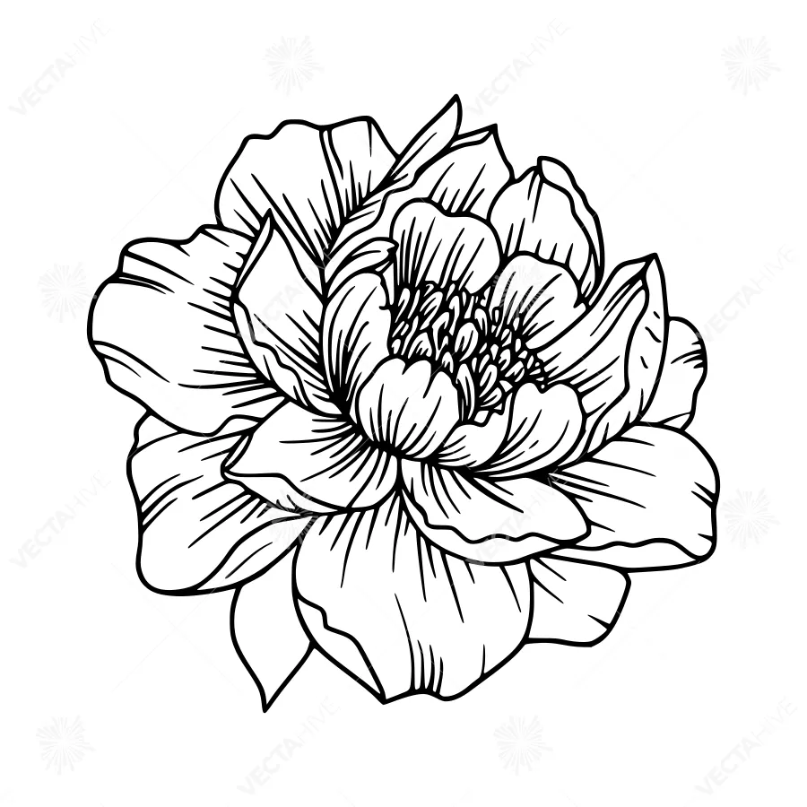 Black Floral Illustration - Elegant Flower Outline