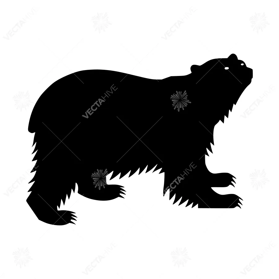 Black Bear Silhouette Vector Illustration
