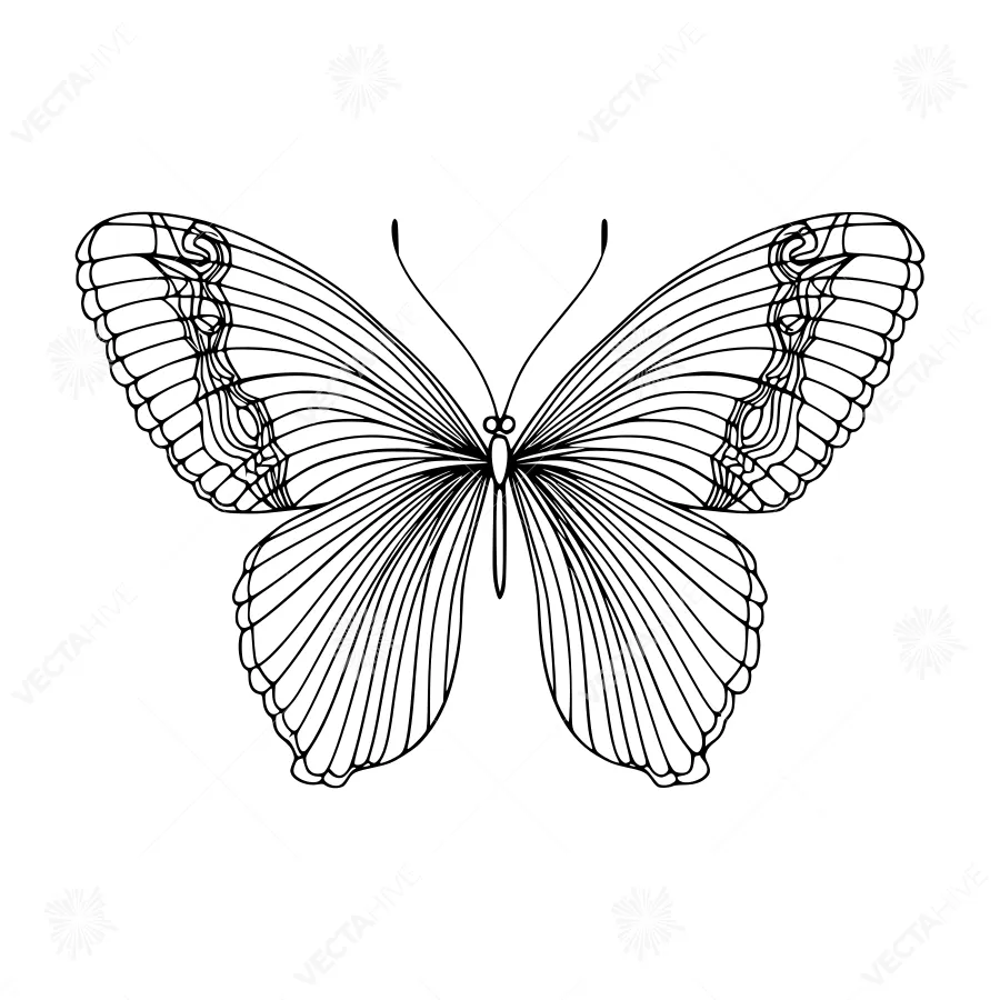 Elegant Black Butterfly Outline Vector