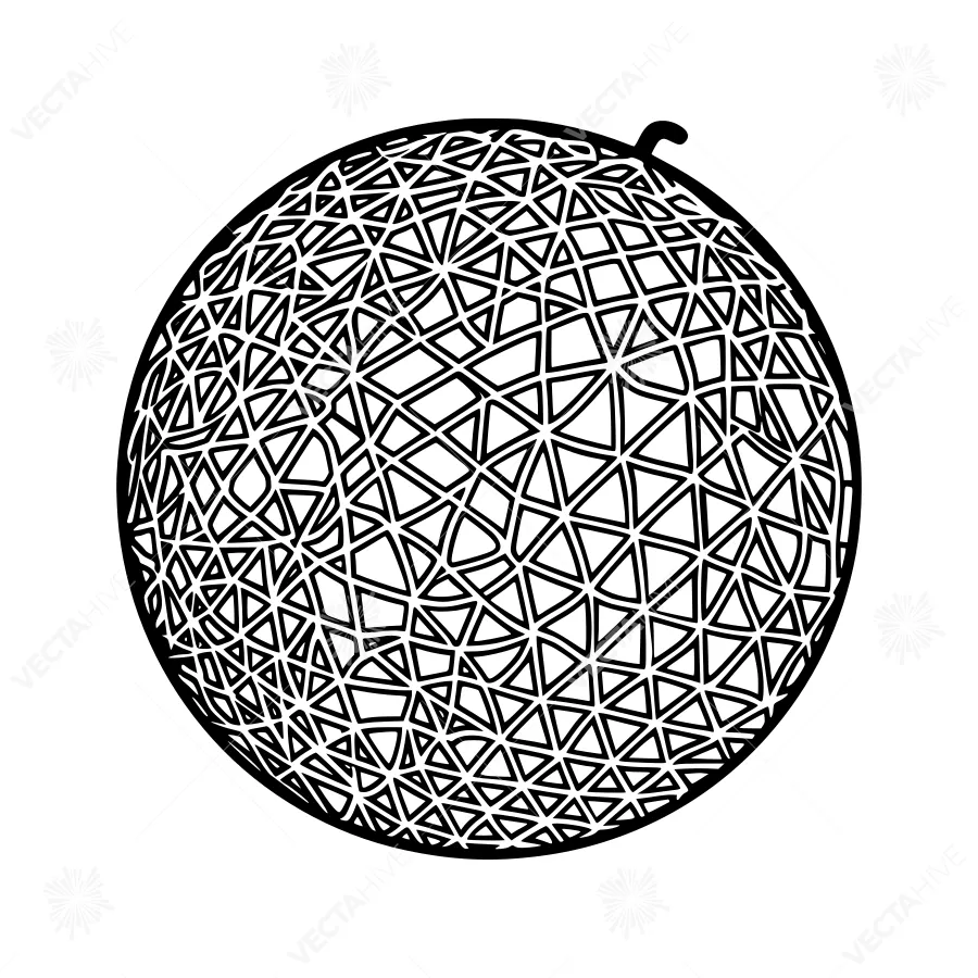 Geometric Melon Illustration - Black & White Vector