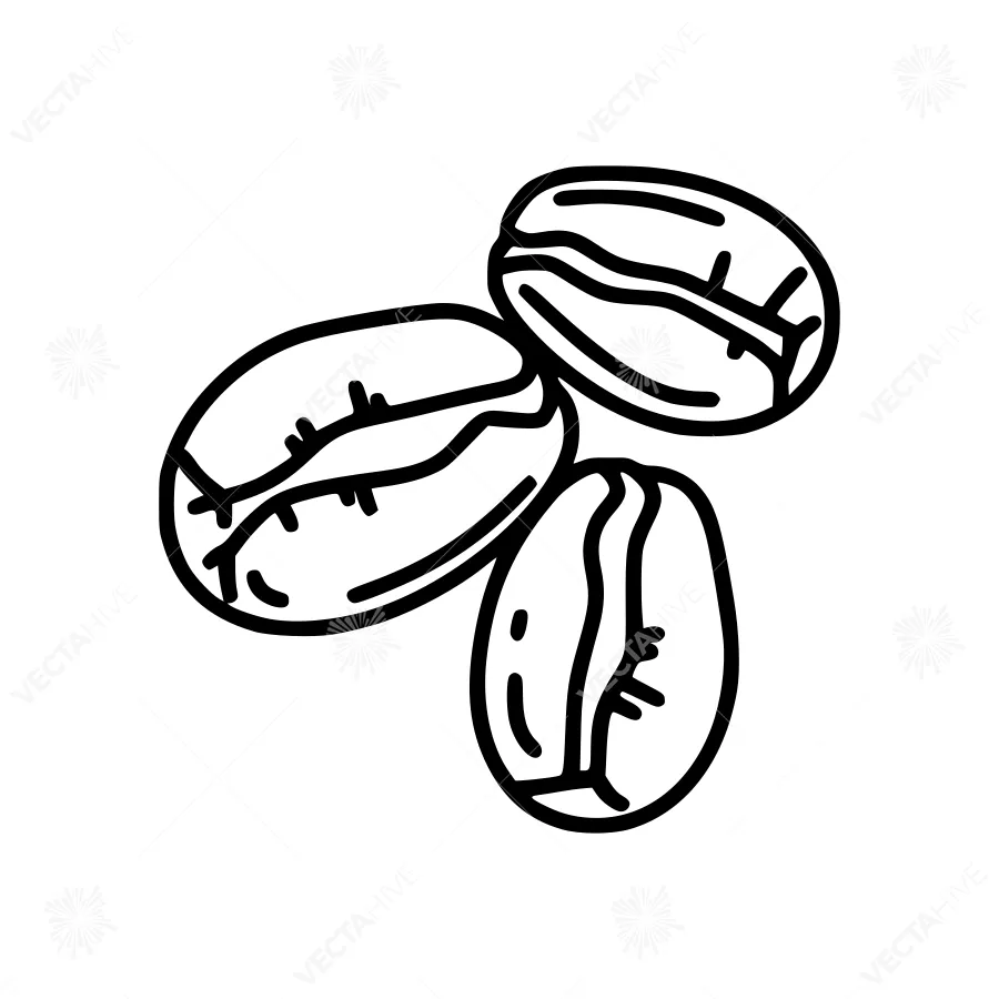 Coffee Beans Line Art Illustration