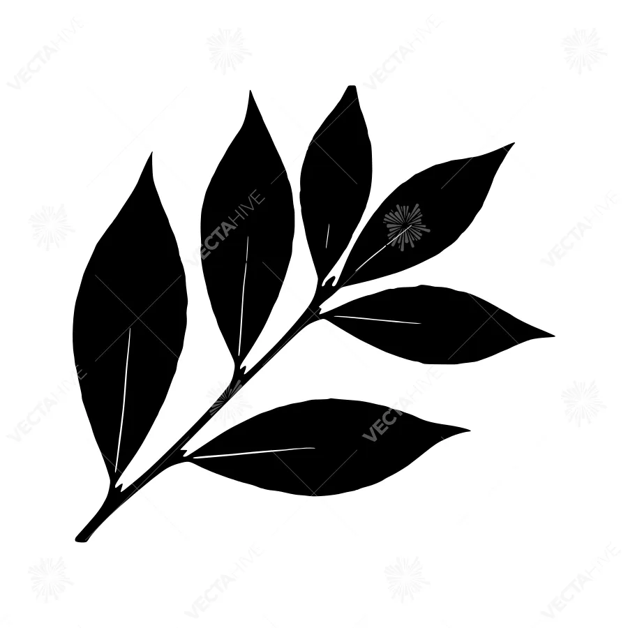 Black Leaf Silhouette on White Background