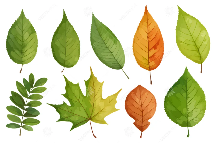 Autumn Leaf Seamless Pattern