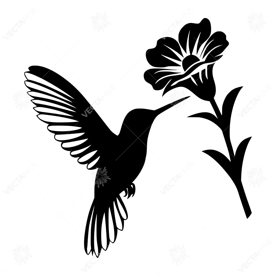 Silhouette Hummingbird Flower Illustration