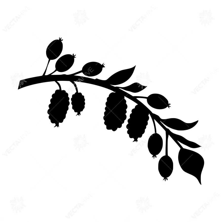 Black Berry Branch Silhouette
